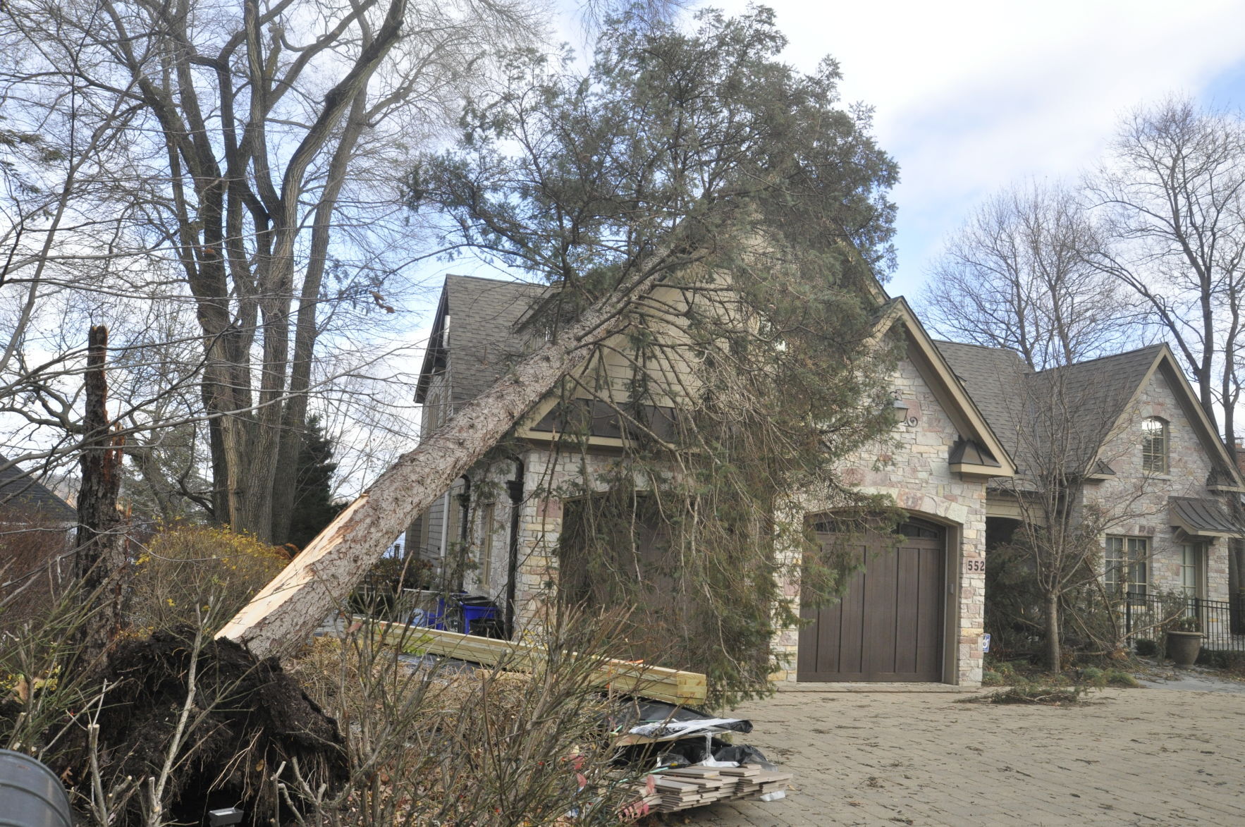 Tree on home in Fontana